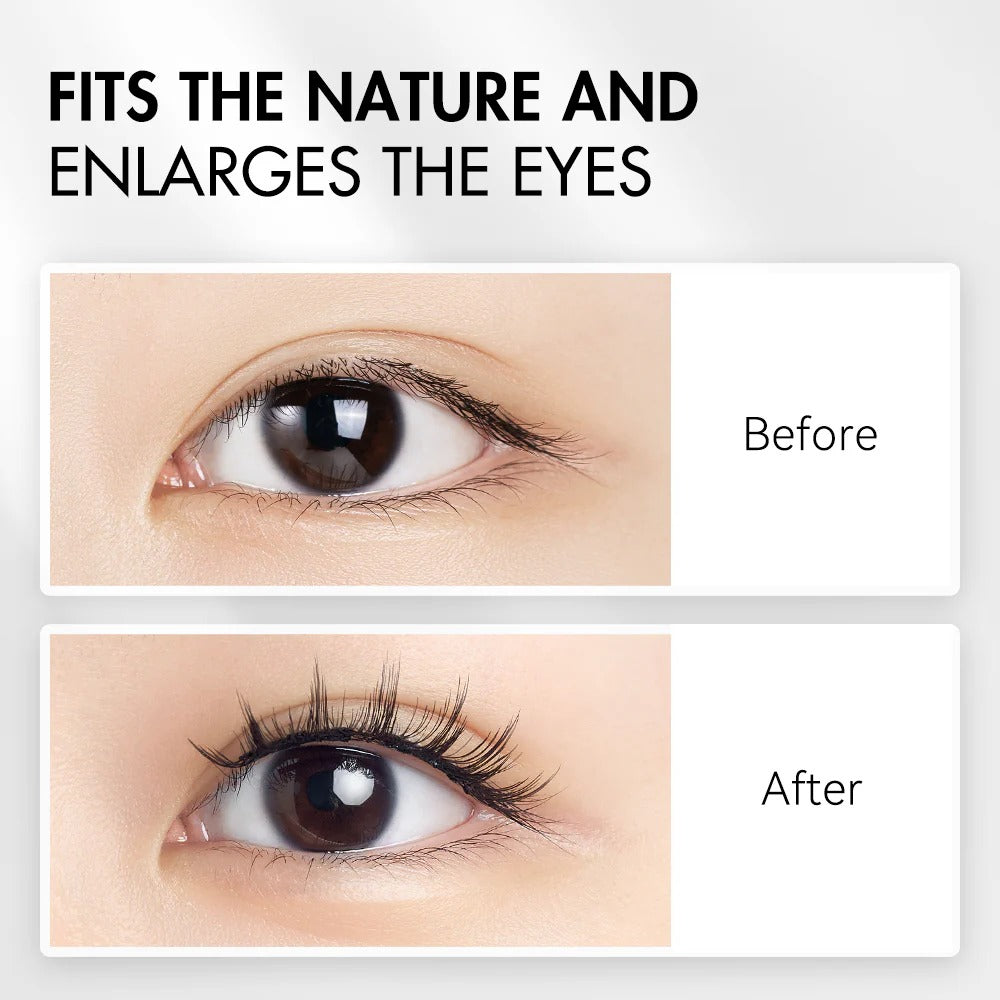 NO.12+ Iris Black Plus Soft Magnetic Eyelashes